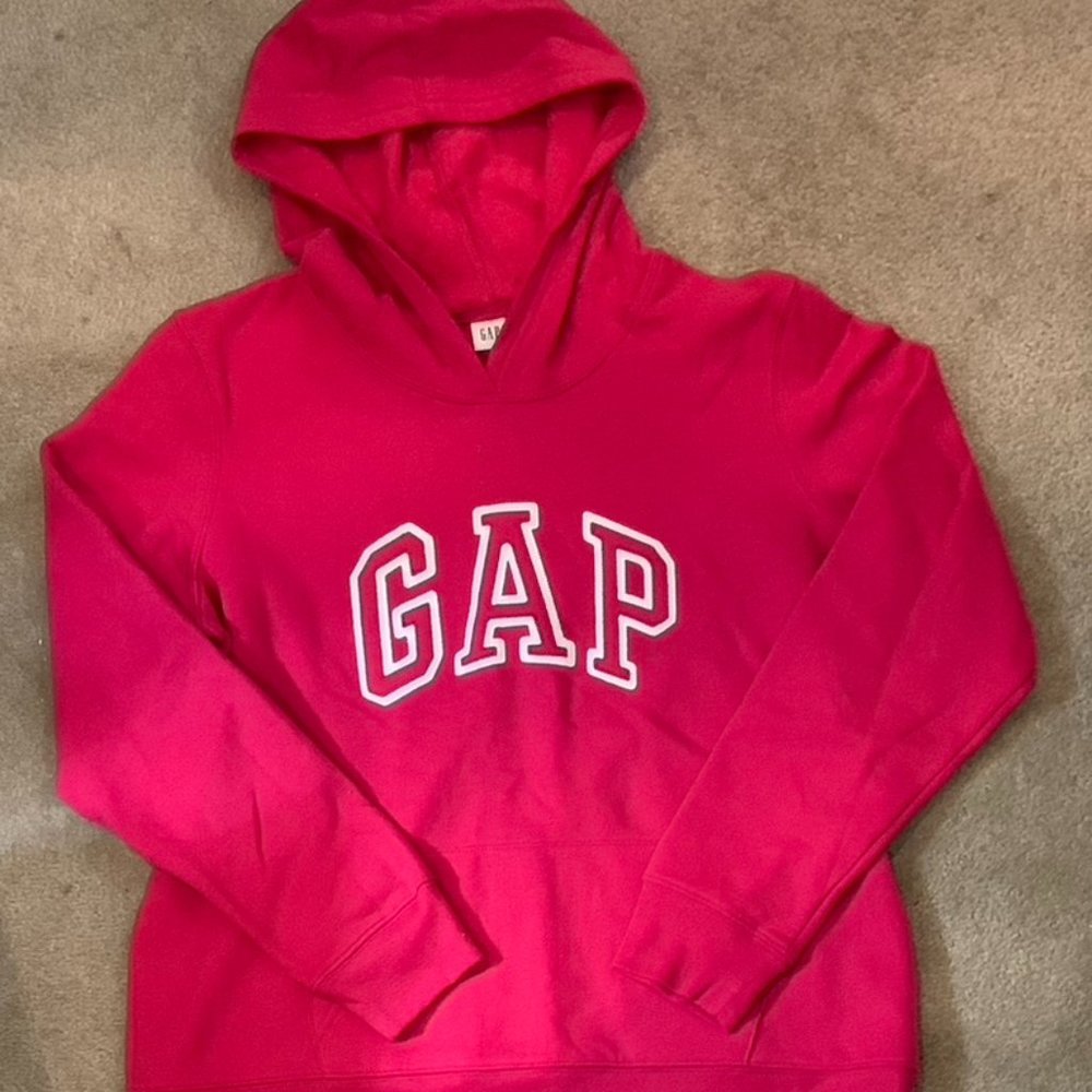 Gap Hoodie